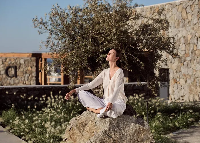 Anemelia Mykonos 酒店 5*