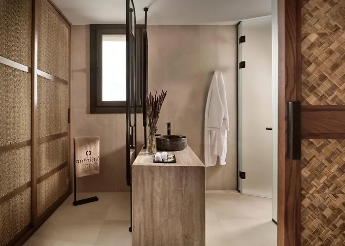 Anemelia Mykonos 호텔