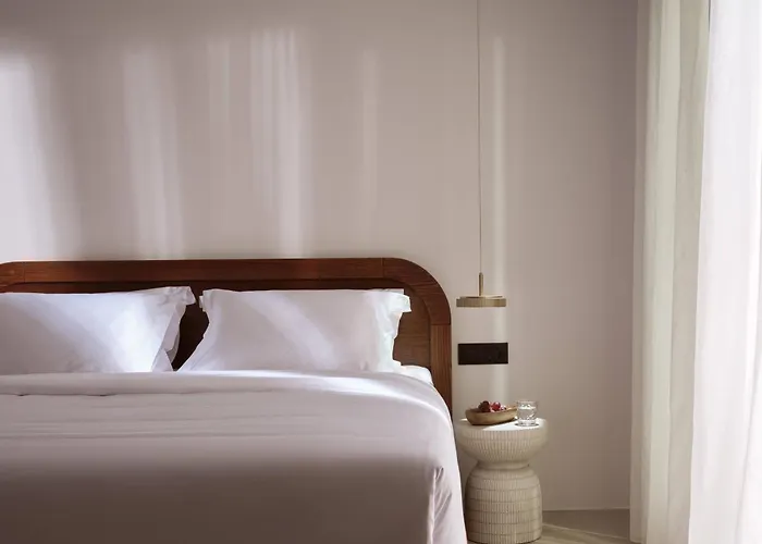 酒店 Anemelia Mykonos 5*