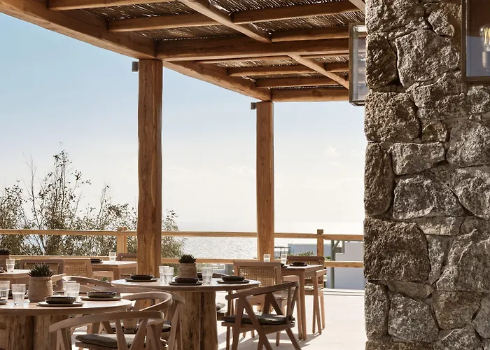 Anemelia Mykonos 호텔 5*