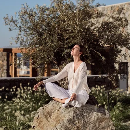 Anemelia Mykonos Hotell 5*