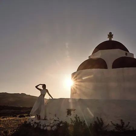 Anemelia Mykonos Ελιά