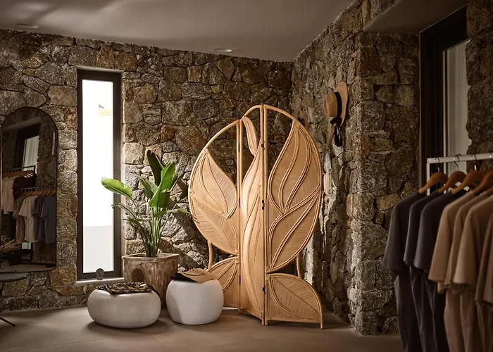 Anemelia Mykonos 5* Ελιά