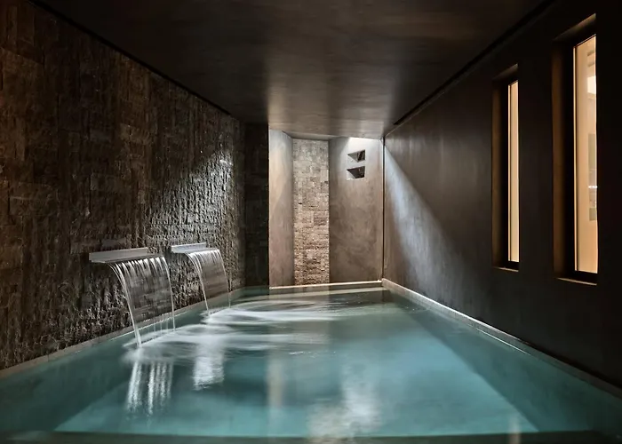 Anemelia Mykonos Ελιά