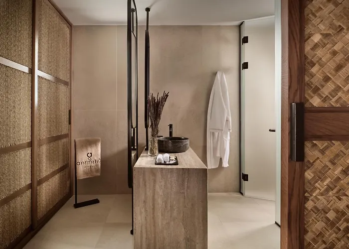 Anemelia Mykonos Ξενοδοχείο 5*