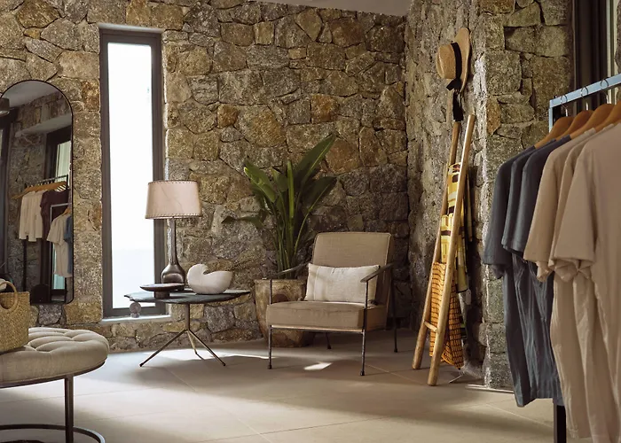 Anemelia Mykonos Ελιά