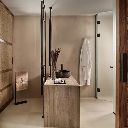 Anemelia Mykonos Отель 5*