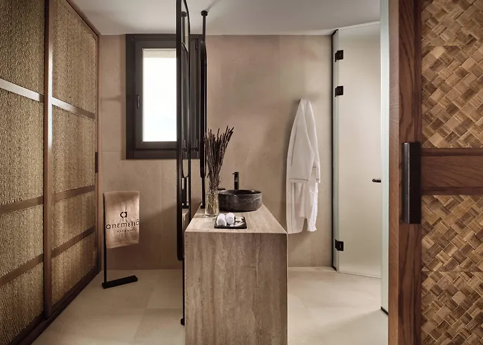 Hotel Anemelia Mykonos